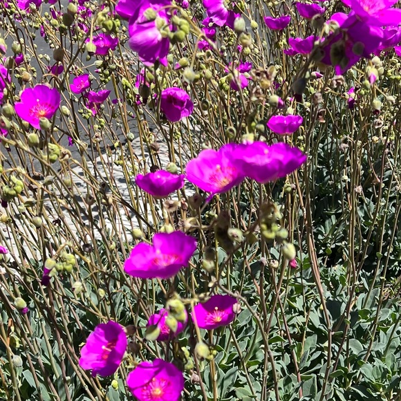 Accessories - Package